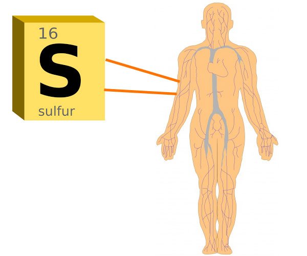 sulfur-body